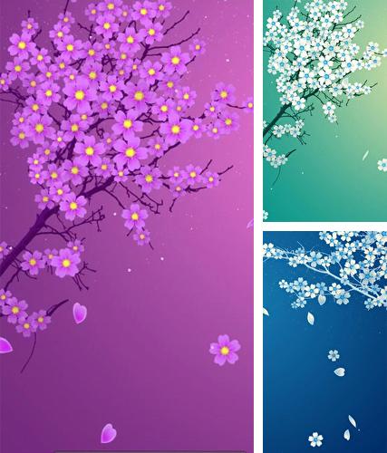 Sakura by Xllusion - бесплатно скачать живые обои на Андроид телефон или планшет.