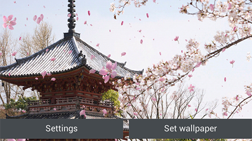 Sakura garden - безкоштовно скачати живі шпалери на Андроїд телефон або планшет.