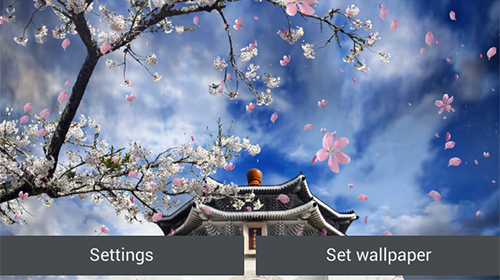 Fondos de pantalla animados a Sakura garden para Android. Descarga gratuita fondos de pantalla animados Jardín de sakura.