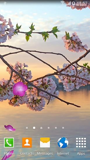 Download livewallpaper Sakura gardens for Android. Get full version of Android apk livewallpaper Sakura gardens for tablet and phone.