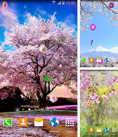 Дополнительно к живым обоям на Андроид телефоны и планшеты Цветы, вы можете также бесплатно скачать заставку Sakura gardens.