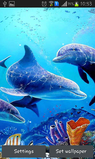 Sea dolphin - безкоштовно скачати живі шпалери на Андроїд телефон або планшет.