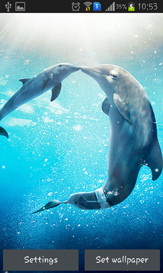 Sea dolphin für Android spielen. Live Wallpaper Delphin im Meer kostenloser Download.