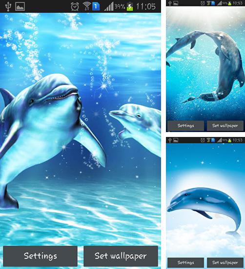 Kostenloses Android-Live Wallpaper Delphin im Meer. Vollversion der Android-apk-App Sea dolphin für Tablets und Telefone.