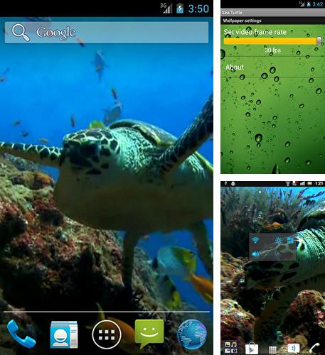 Sea turtle - бесплатно скачать живые обои на Андроид телефон или планшет.