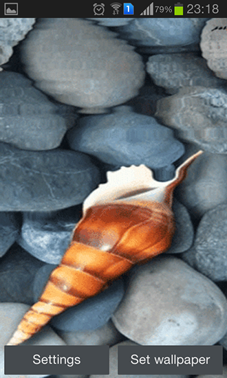 Seashell by Memory lane - бесплатно скачать живые обои на Андроид телефон или планшет.