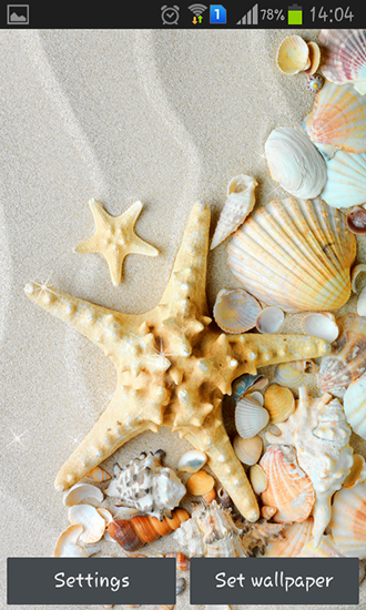 Seashells für Android spielen. Live Wallpaper Meeresmuscheln kostenloser Download.