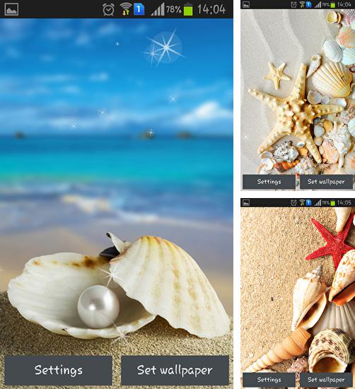 Kostenloses Android-Live Wallpaper Meeresmuscheln. Vollversion der Android-apk-App Seashells für Tablets und Telefone.