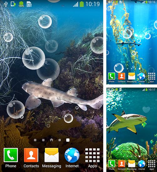 Дополнительно к живым обоям на Андроид телефоны и планшеты Сова, вы можете также бесплатно скачать заставку Shark.