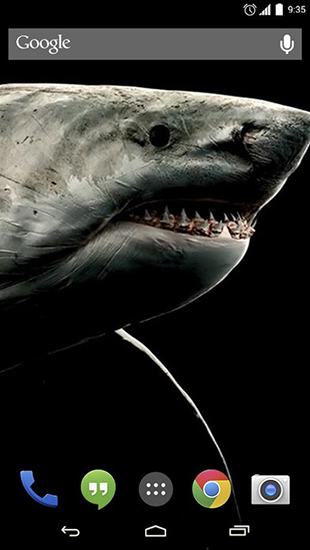Shark 3D - бесплатно скачать живые обои на Андроид телефон или планшет.
