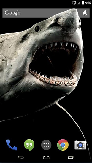 Papeis de parede animados Tubarão 3D para Android. Papeis de parede animados Shark 3D para download gratuito.