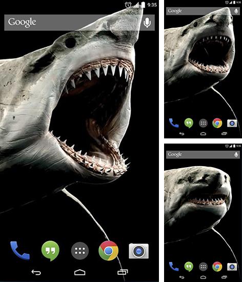 Kostenloses Android-Live Wallpaper Hai 3D. Vollversion der Android-apk-App Shark 3D für Tablets und Telefone.