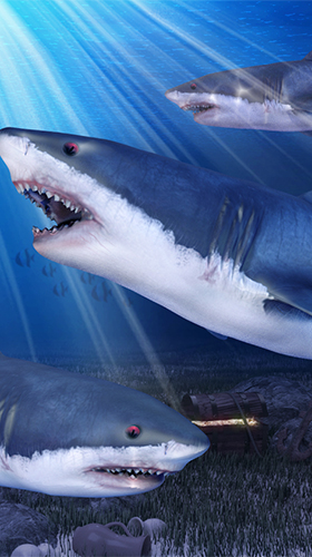 Kostenloses Android-Live Wallpaper Hai-Aquarium. Vollversion der Android-apk-App Shark aquarium für Tablets und Telefone.