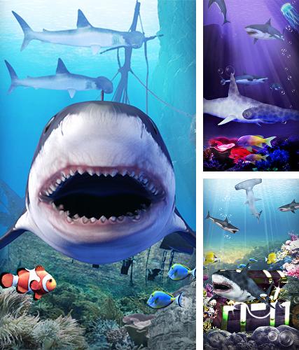 Kostenloses Android-Live Wallpaper Hai-Aquarium. Vollversion der Android-apk-App Shark aquarium für Tablets und Telefone.