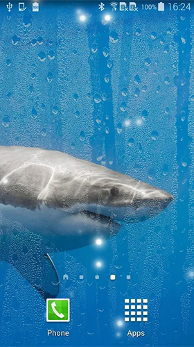 Papeis de parede animados Tubarão para Android. Papeis de parede animados Shark by KKPICTURE para download gratuito.
