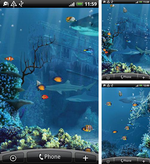 Descarga gratuita fondos de pantalla animados Arrecife de tiburones para Android. Consigue la versión completa de la aplicación apk de Shark reef para tabletas y teléfonos Android.