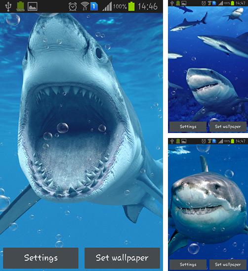 Además de fondo de pantalla animados Luciérnagas para teléfonos y tabletas Android, también puedes descargarte gratis Sharks.