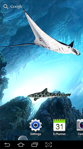 Capturas de pantalla de Sharks 3D by BlackBird Wallpapers para tabletas y teléfonos Android.