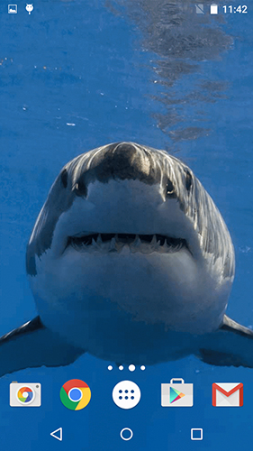 Sharks by Fun Live Wallpapers - бесплатно скачать живые обои на Андроид телефон или планшет.
