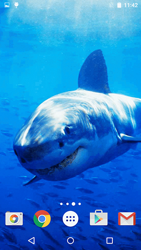 Download Sharks by Fun Live Wallpapers - livewallpaper for Android. Sharks by Fun Live Wallpapers apk - free download.