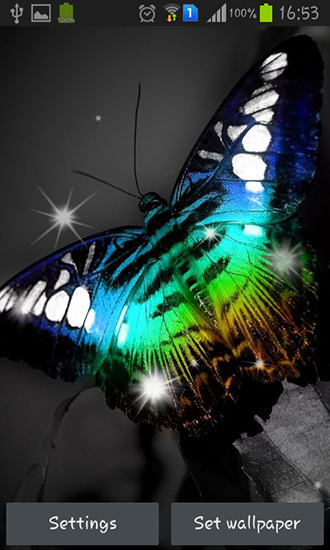 Shiny butterfly - бесплатно скачать живые обои на Андроид телефон или планшет.