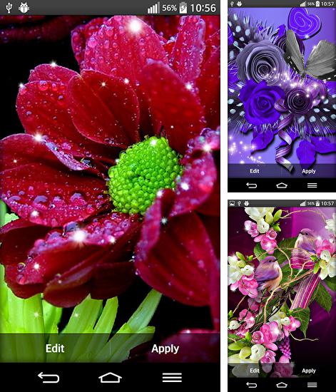 Дополнительно к живым обоям на Андроид телефоны и планшеты Часы square lite, вы можете также бесплатно скачать заставку Shiny flowers.