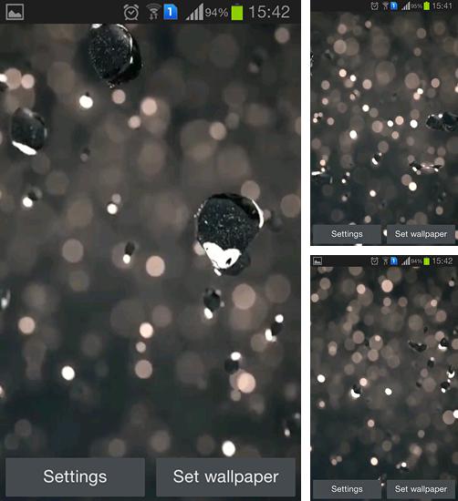 Alem do papel de parede animado Urso Tony para telefones e tablets Android, voce tambem pode baixar Chuva brilhante HD, Shiny rain HD gratuitamente.