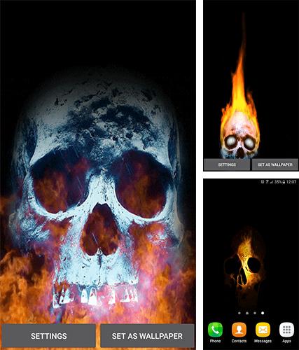 Download live wallpaper Skull for Android. Get full version of Android apk livewallpaper Skull for tablet and phone.