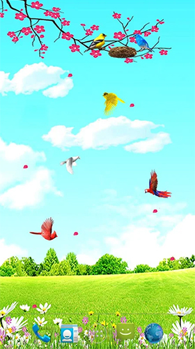 Descarga gratuita fondos de pantalla animados Pájaros del cielo para Android. Consigue la versión completa de la aplicación apk de Sky birds para tabletas y teléfonos Android.
