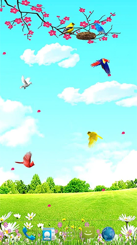 Papeis de parede animados Pássaros do céu para Android. Papeis de parede animados Sky birds para download gratuito.