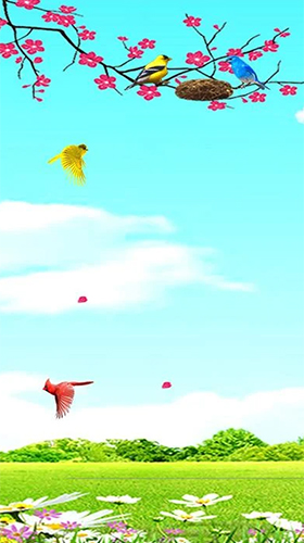 Screenshots of the Sky birds for Android tablet, phone.
