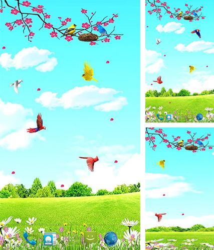 Descarga gratuita fondos de pantalla animados Pájaros del cielo para Android. Consigue la versión completa de la aplicación apk de Sky birds para tabletas y teléfonos Android.