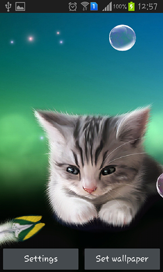 Papeis de parede animados Gatinho sonolento para Android. Papeis de parede animados Sleepy kitten para download gratuito.