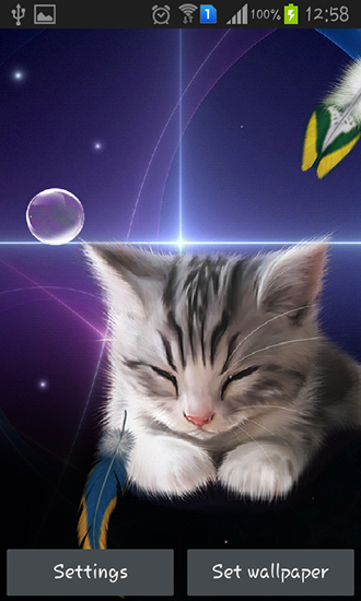 Screenshots do Gatinho sonolento para tablet e celular Android.