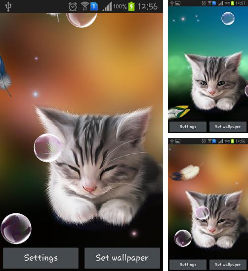 En plus du fond d'écran Constellations des particules  pour téléphones et tablettes Android, vous pouvez aussi télécharger gratuitement Chaton endormi, Sleepy kitten.