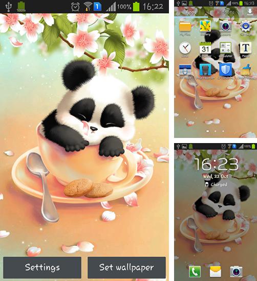 Kostenloses Android-Live Wallpaper Verschlafener Panda. Vollversion der Android-apk-App Sleepy panda für Tablets und Telefone.
