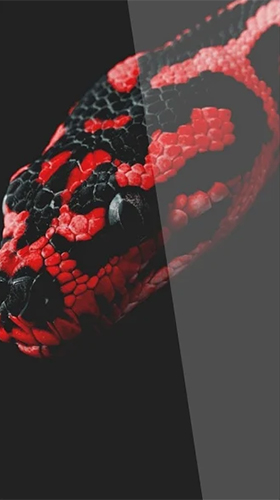 Snake by Premium Developer - скріншот живих шпалер для Android.