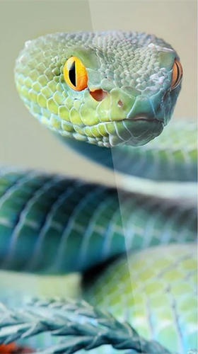 Як виглядають живі шпалери Snake by Premium Developer.