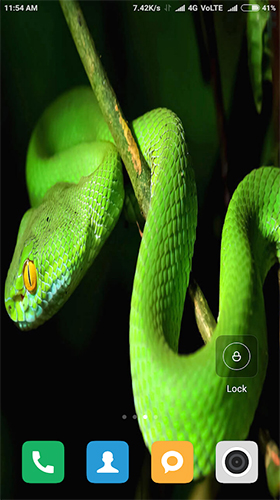 Snake HD - бесплатно скачать живые обои на Андроид телефон или планшет.