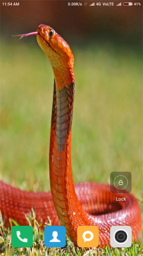 Snake HD für Android spielen. Live Wallpaper Schlange HD kostenloser Download.