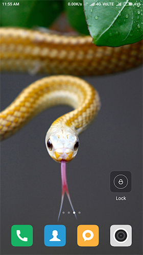Screenshots of the Snake HD for Android tablet, phone.