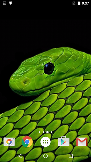 Baixe o papeis de parede animados Snakes by Fun live wallpapers para Android gratuitamente. Obtenha a versao completa do aplicativo apk para Android Serpentes para tablet e celular.