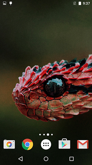 Геймплей Snakes by Fun live wallpapers для Android телефона.