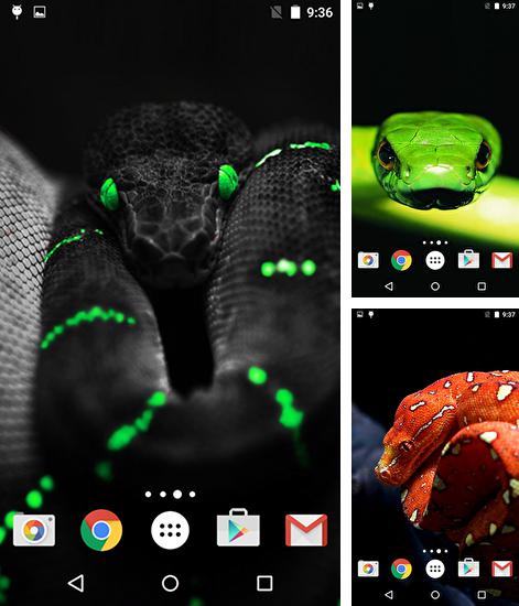 Дополнительно к живым обоям на Андроид телефоны и планшеты Дождливый день, вы можете также бесплатно скачать заставку Snakes by Fun live wallpapers.
