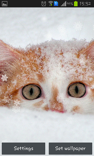 Kostenloses Android-Live Wallpaper Schneekatzen. Vollversion der Android-apk-App Snow cats für Tablets und Telefone.