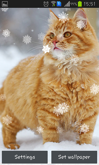 Snow cats - скриншоты живых обоев для Android.