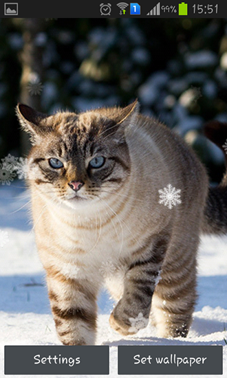 Screenshots do Gatos de neve para tablet e celular Android.