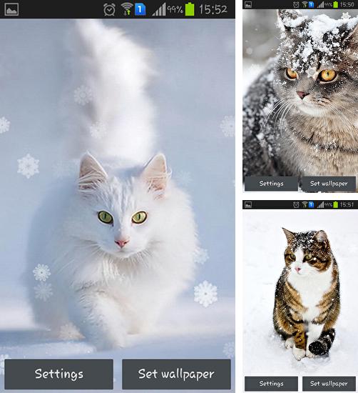 Додатково до живої шпалери мультяшні годинник для Android телефонів та планшетів, Ви можете також безкоштовно скачати Snow cats.