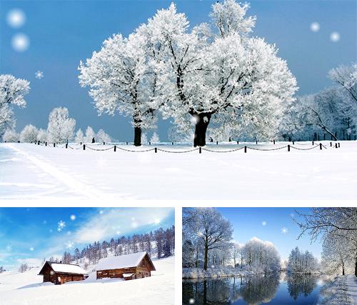 Download live wallpaper Snow season for Android. Get full version of Android apk livewallpaper Snow season for tablet and phone.