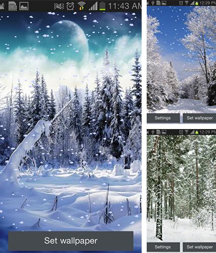 Télécharger le fond d'écran animé gratuit Chute de neige . Obtenir la version complète app apk Android Snowfall by Tontoon Infotech pour tablette et téléphone.